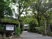 伊古奈
