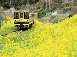 お花見バスツアー