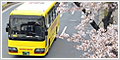 日帰りツアー
