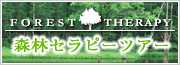 森林セラピーツアー