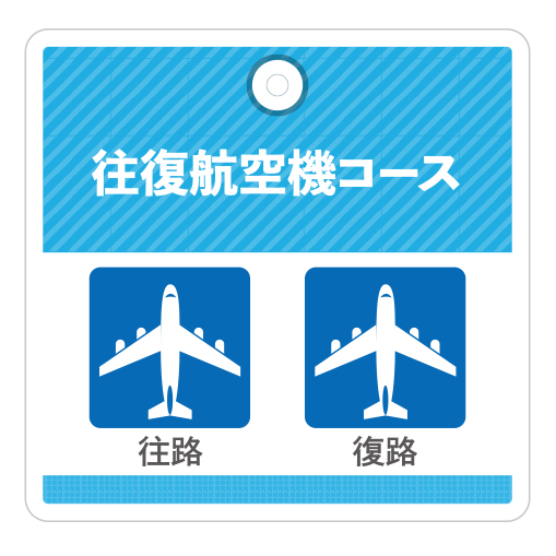 往復航空機コース