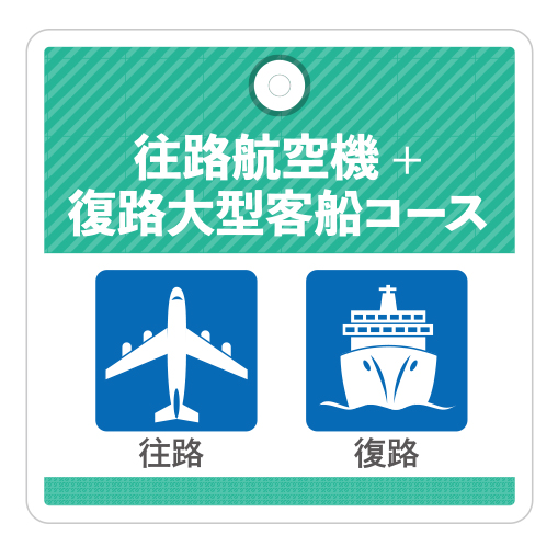 往路航空機+復路大型客船コース