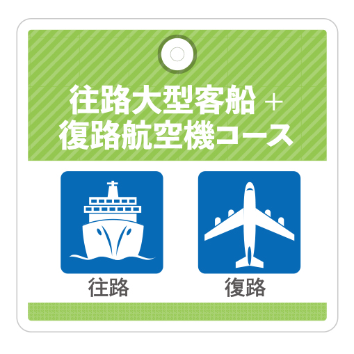往路大型客船+復路航空機コース