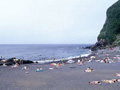 野田浜海水浴場