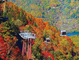 紅葉ツアー 日光白根山ロープウェイで行く丸沼高原天空テラスと秋色の吹割の滝 日帰り タビユー株式会社