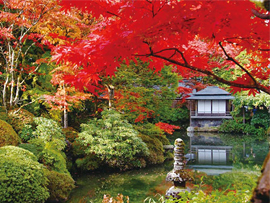 紅葉バスツアー