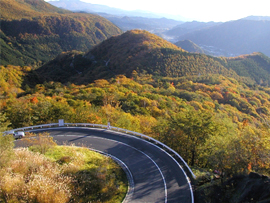 紅葉バスツアー