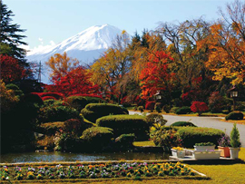 紅葉ツアー 紅葉のスバルライン富士五合目と富士ビューホテルバイキング ぶどう狩り 新宿発 日帰り タビユー株式会社