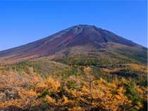 紅葉バスツアー