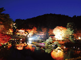 紅葉バスツアー