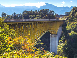 紅葉バスツアー