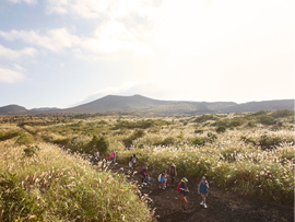 伊豆大島三原山ハイキングイメージ