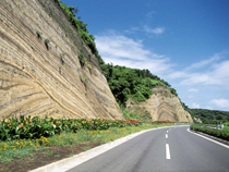 椿まつり日帰りコース